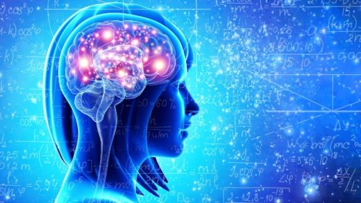 Le cerveau d'un surdoué